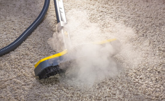 hot water carpet cleaning boise
