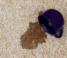coffee carpet stain remove